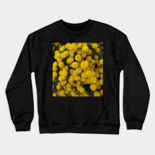 Yellow Flower Bunch Photography My Crewneck Sweatshirt